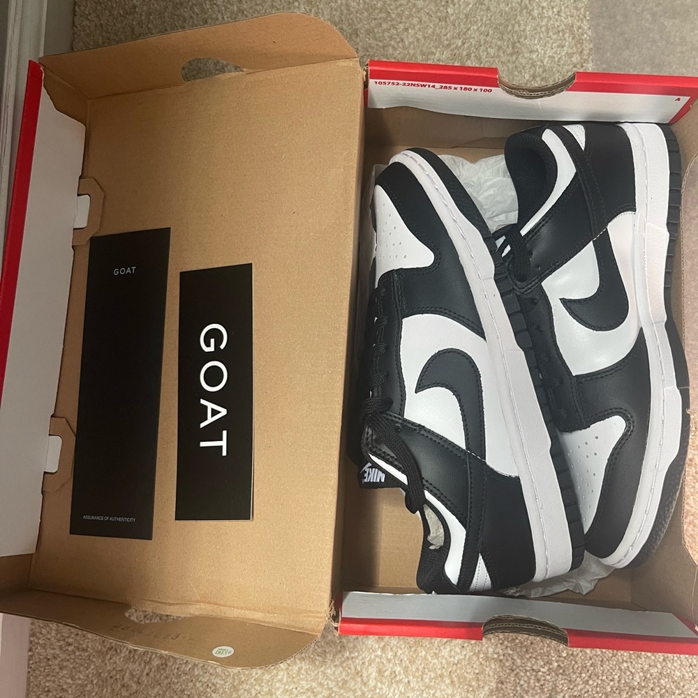 Women’s Nike Dunk Low Tops (Two right shoes)